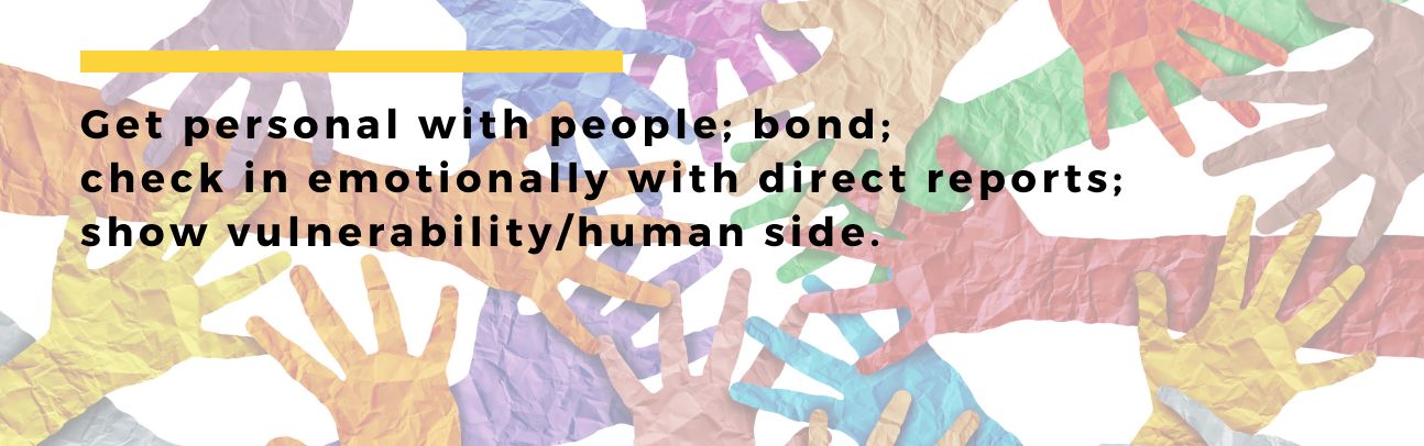 WhatsApp Image 2026-01-09 at 11.33.48 (1)