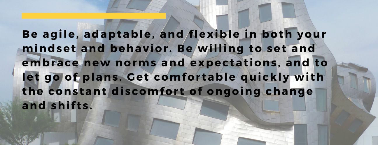 WhatsApp Image 2026-01-09 at 11.33.49 (1)